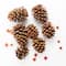 Pecan Caramel Scented Pinecone Bag by Ashland&#xAE;
